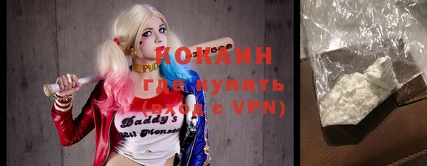 мяу мяу мука Бородино