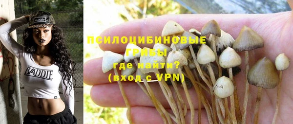 a pvp Бронницы