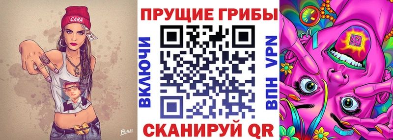 Галлюциногенные грибы мицелий  Купить закладки  Суровикино 