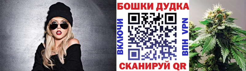 Бошки Шишки индика  Купить закладки  Суровикино 